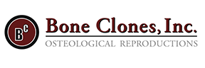 Bone Clones Logo verA r2_small.png