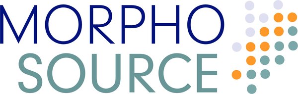 morpho source logo